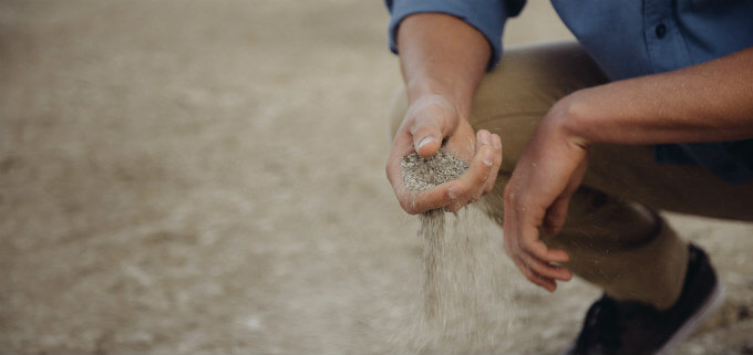 soil in hand