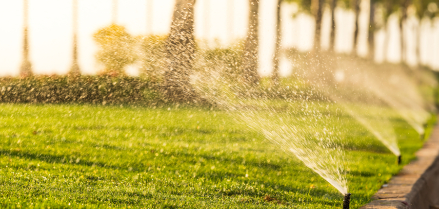 sprinkler head watering