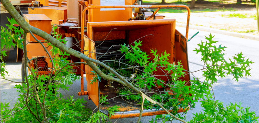 landscapers using chipper machine to remove chainsaw tree branches